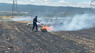 Çan'da tarlayı kül eden yangın kuş yüzünden mi çıktı?