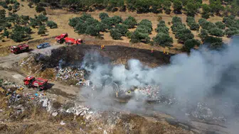 Aydın Kuyucak'ta orman yangını korkuttu