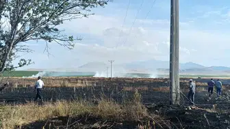 Karapınar'da elektrik kıvılcımı 20 dönüm buğdayı küle çevirdi