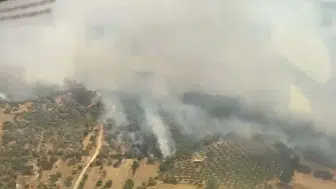 Aydın Bozdoğan'da tarım arazisi alevlere teslim oldu
