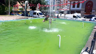 Afyon’da süs havuzuna giren çocuklar büyük tehlike altında