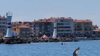 Marmara’nın maviliğinde iki yunus sürpriz yaptı
