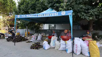 Nazilli’de kadın üreticilerin güneş altında çalışma çilesi bitti