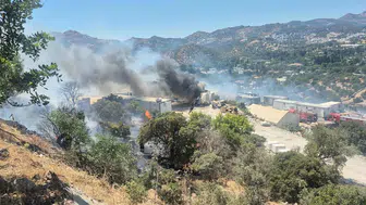 Bodrum’da şantiye yangını ormana sıçradı