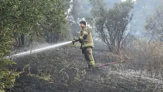 Mudanya'da bahçeden sıçrayan alevler dört dönümü küle çevirdi