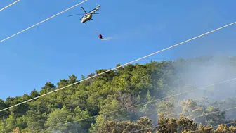 Muğla Ortaca'daki orman yangınında korkulan olmadı