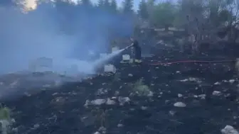 Isparta'da yangına müdahale eden itfaiyeyi arılar bastı