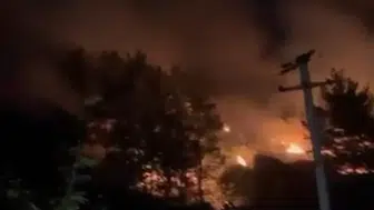 Manavgat ormanlarında gece yarısı yangın paniği