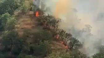 Tosya’da orman yangını 40 dönümü küle çevirdi