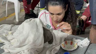 Seydikemer orman yangınında bir can daha kurtarıldı