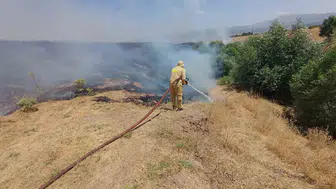 Bingöl’de beş noktada birden yangın paniği yaşandı
