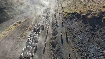 Nemrut Dağı eteklerinde her gün tekrarlanan tozlu mesai