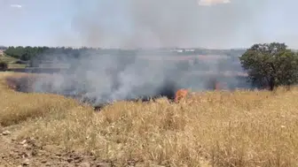 Elazığ Poyraz Köyü arazisinde yükselen alevler söndürüldü