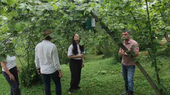 Karadeniz çiftçisi zararlılarla mücadelede teknolojiyi kullanacak