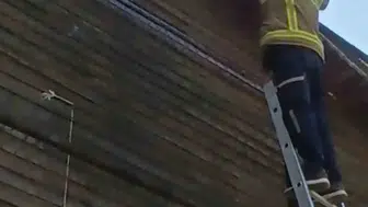 Safranbolu’da halı sahanın tepesinde mahsur kalan kedi kurtarıldı