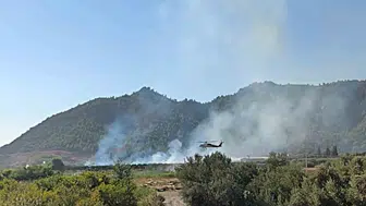 Dalaman'daki tarım arazisi yangını büyümeden durduruldu