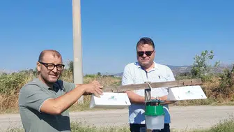 Aydınlı pamuk üreticisi için tarlalara akıllı tuzaklar yerleştirildi