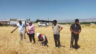Malatyalı çiftçinin nohut hasadı yüzleri güldürdü