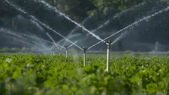 Aydıntepe çiftçisine su tasarrufu uyarısı