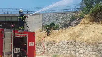 Bilecik Hamsu Köprüsü mevkiinde orman yangını paniği