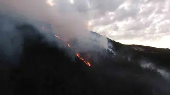 Kastamonu'da bir evde başlayan yangın ormana sıçradı