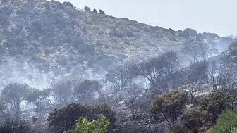 Bodrum Gümüşlük'te korkutan yangın söndürüldü