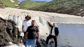 Van'da 3 bin 300 rakımlı yayla yolu süt sağımı için açılıyor