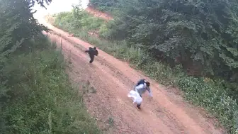 Jandarma orman ve sınır bölgelerini fotokapanla izleyip 1847 kişiyi yakaladı