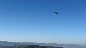 Balıkesir ormanlarındaki kabus sona erdi