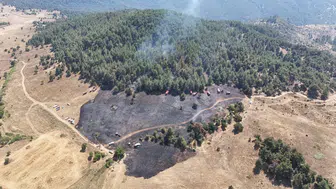 Osmaniye ormanlarında alevlerle mücadele sürüyor
