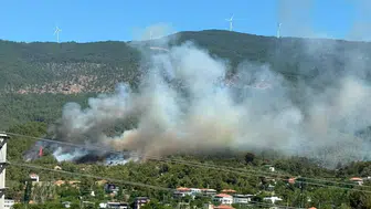 Çine ormanlarında korkutan dumanlar yükseliyor