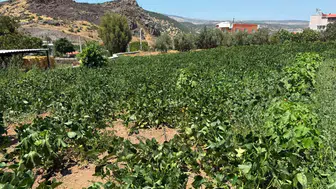 Menemen’in Ayvacık köyünde yüzyıllık susuzluk bitti