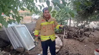 Hatayda yılan paniğine karşı ekiplerden çözüm hamlesi