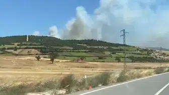 Susurluk ormanlarında dumanlar yükseliyor