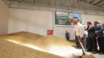 Kandıralı üreticinin hasat derdi sona eriyor