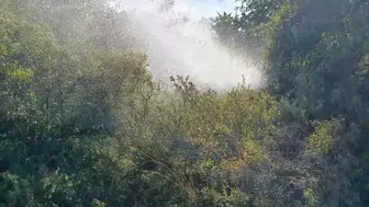 Balıkesir'de aynı gün beş noktada yangın alarmı