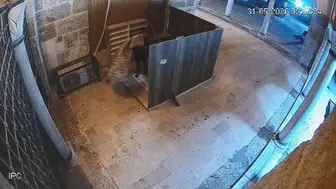 İzmit Yeni Cuma Camii'nde halı hırsızlığına tutuklama