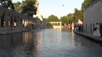 Şanlıurfa turizminin kalbi sıra gecelerinde atıyor