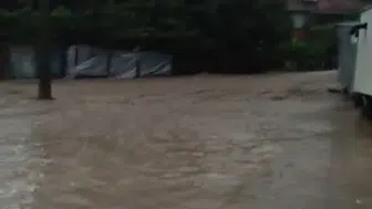 Kastamonu Cide'de dere taştı sular ilçe merkezini bastı