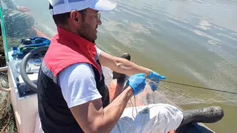 Çorum barajlarında yasa dışı avcılığa büyük darbe