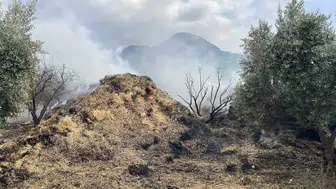 Osmaniye'de çocukların oyununa kurban giden samanlar kül oldu