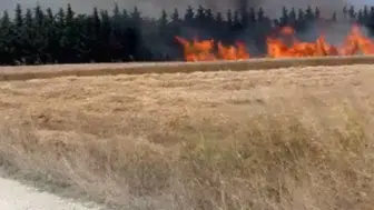 Silivri’de direk kesimi tarlaları küle çevirdi