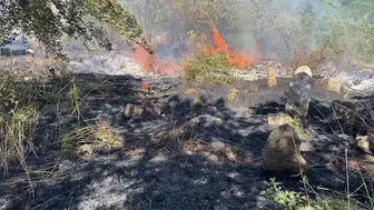 Bitlis’te yangın paniği Alevler evlerin kapısına dayandı