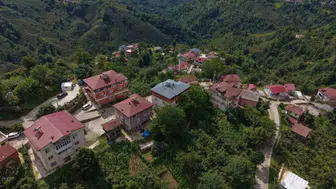 Ordu’da bir mahalle dolusu Sarı soyadlı insan yaşıyor