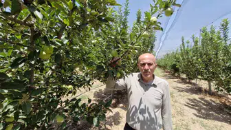 Karamanlı elma üreticisine hasat dönemi uyarısı