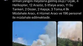 Balıkesir Susurluk ormanlarında yangın alarmı
