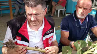 Tekirdağlı çiftçinin dolu mesaisi