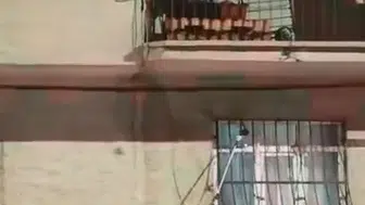 Elazığ’da apartman penceresine tırmanan yılan mahalleliyi sokağa döktü
