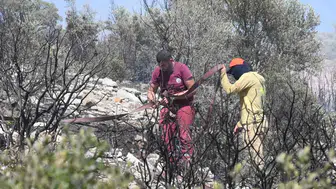 İzmir Torbalı'da orman yangını korkuttu