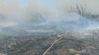 Bandırma arazilerinde korkutan yangın büyümeden söndürüldü